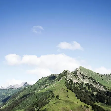 Faschina - 4 * Fontanella